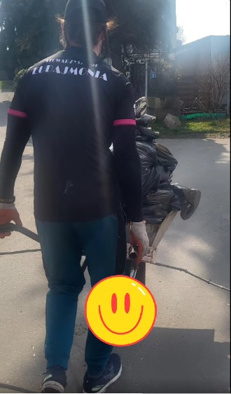 Sprzątanie Śliwnik